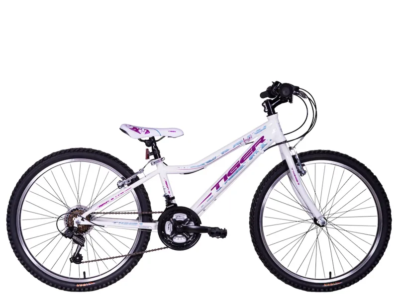 Kent hawkeye 29er mountain on sale bike